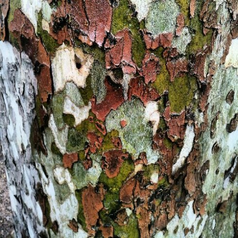 IMG_20120603_182351.jpg image